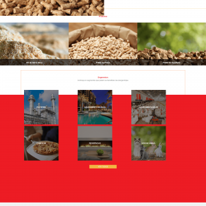 screencapture-pelletbraz-br-2022-12-13-12_08_26